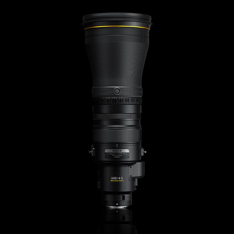 Performance That Defies Expectation – NIKKOR Z 600mm f/4 TC VR S | Nikon Cameras, Lenses & Accessories